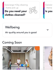 More HBreavis More HBreavis